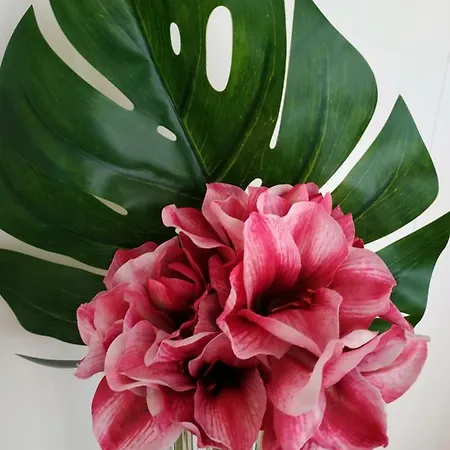 Ml River Apartamento Oporto