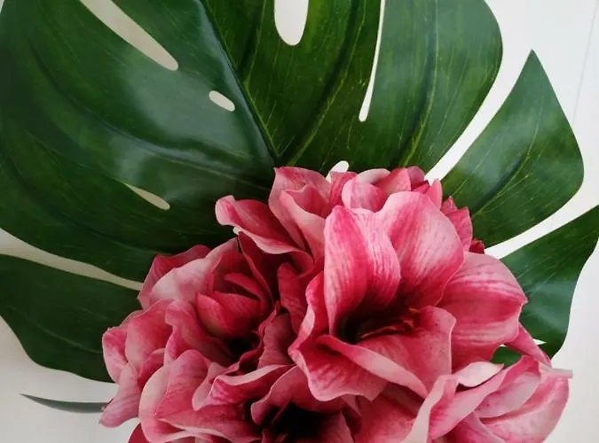 Ml River Apartment Porto